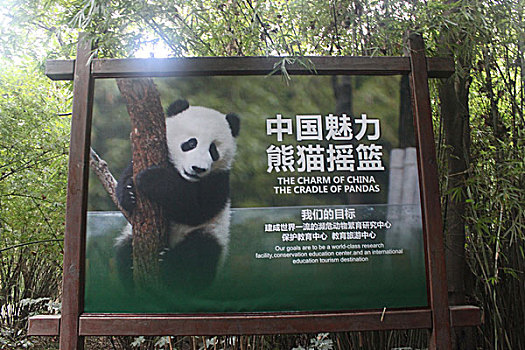 大熊猫的家园