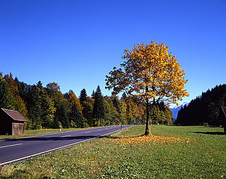 笔直,道路