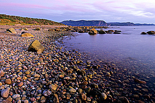 夜光,海岸线,龙虾,小湾,格罗莫讷国家公园,纽芬兰,加拿大