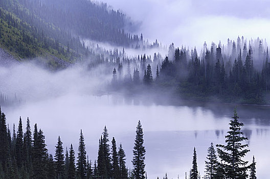 薄雾,上方,湖,路易斯湖,雷尼尔山国家公园,皮尔斯县,华盛顿,美国