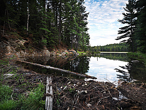 河,阻挡,海狸,坝,阿尔冈金省立公园,安大略省,加拿大