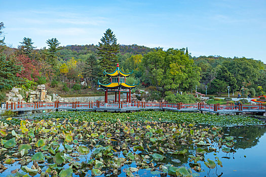 锦江山