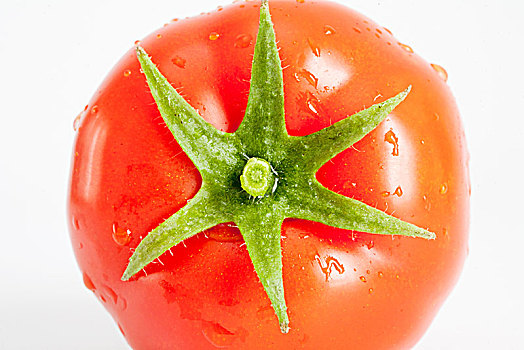 西红柿,番茄,白色背景