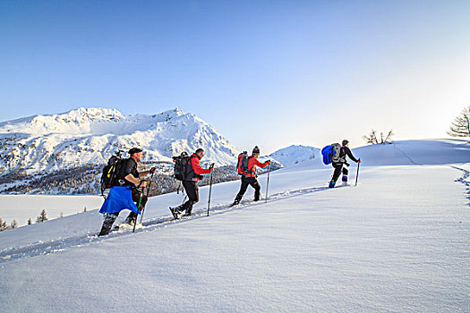 雪鞋,远足,前进,初雪,恩格达恩,瑞士,欧洲