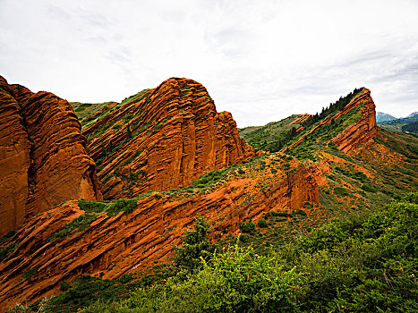 红色,砂岩,悬崖,红岩,吉尔吉斯斯坦,亚洲