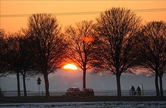日落,驾驶员,骑车,乡间小路,冬天,靠近,杜伊斯堡,北莱茵威斯特伐利亚,德国,欧洲