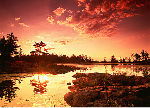 基拉尼省立公园,日出,安大略省,加拿大