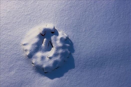 圣诞花环,形状,雪中,靠近,费尔班克斯,阿拉斯加,冬天
