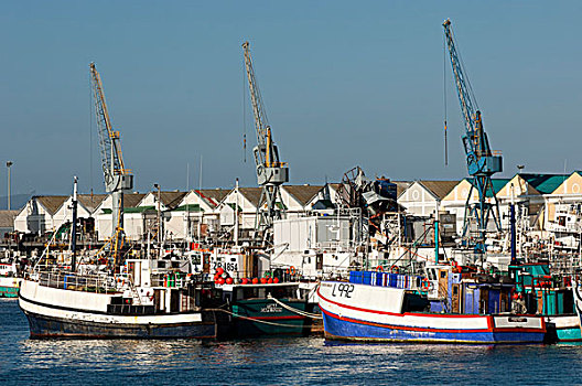 渔船,港口,开普敦,南非,非洲