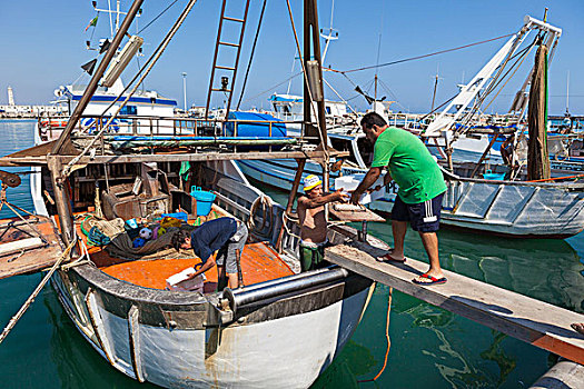 渔民,工作,特色,船,港口,省,阿格里琴托,西西里,意大利,欧洲
