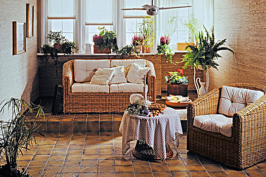 客厅,植物,藤条,家具