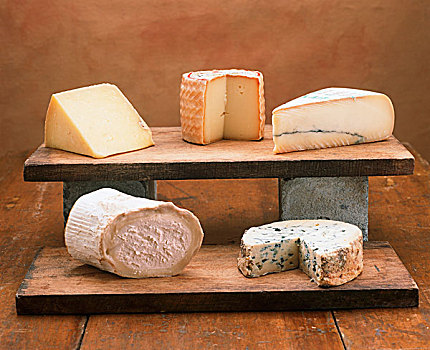 品种,奶酪,木板