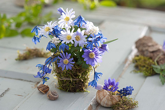 小,花束,希腊银莲花,春天,银莲花,绵枣儿属植物