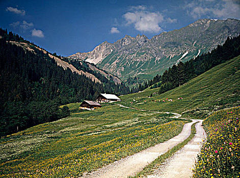 土路,房子,阿尔卑斯山,瓦萊邦,瑞士