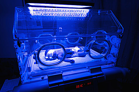 婴儿,早产儿保育器,蓝光,医院,艾伯塔省,加拿大