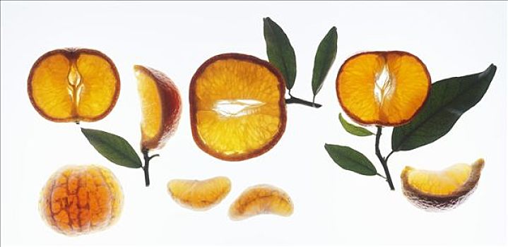 柑桔,橘子,切片,楔形