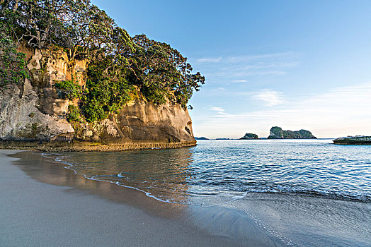 大教堂,小湾,海滩,岛屿,背景,区域,北岛,新西兰