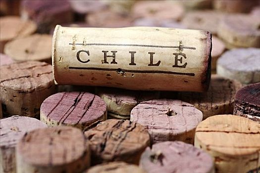 酒塞,智利