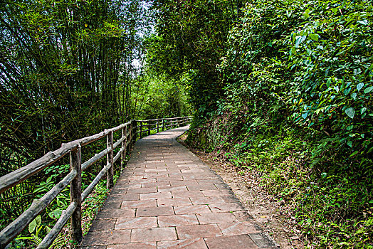 广东韶关丹霞山中国红石公园锦石岩寺院小路