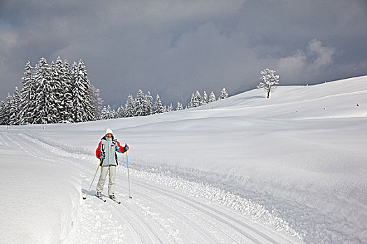 越野,滑雪,巴伐利亚,德国,欧洲