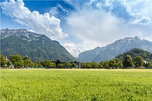 阿尔卑斯山,山景,因特拉肯,瑞士