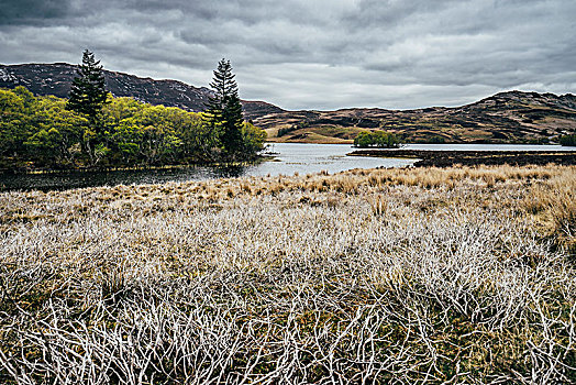 平和,风景,河,苏格兰