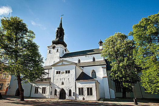 大教堂,城堡区,老城,世界遗产,塔林,爱沙尼亚,波罗的海国家,北欧