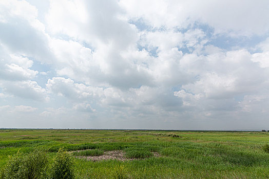 旷野