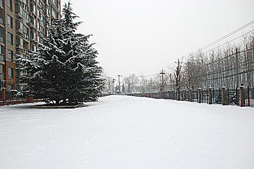 冬天北京住宅小区中的雪景