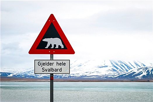 北极熊,警告标识