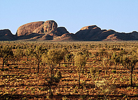 圆顶,奥加斯石群,乌卢鲁卡塔,国家,公园,北领地州,澳大利亚