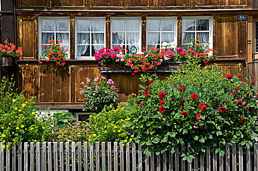 屋舍,花园,正面,木质,建筑,房子,阿彭策尔,区域,瑞士,欧洲
