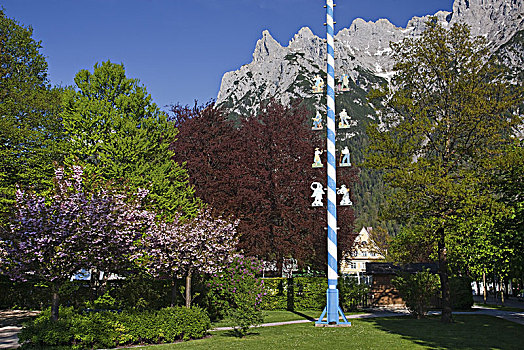 五月花柱,靠近,山,米滕瓦尔德,巴伐利亚,德国