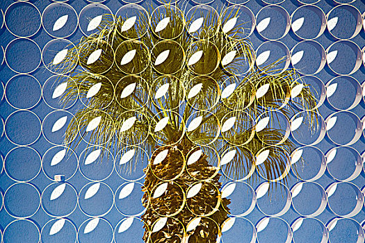 层次,图像,上方,棕榈树,棕榈泉,加利福尼亚,美国