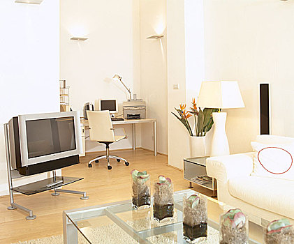起居室,办公室,区域,沙发,电视,木地板