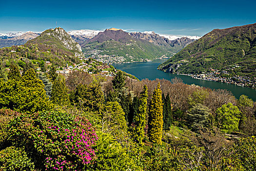 植物,公园,凯洛纳,靠近,卢加诺,湖,提契诺河,瑞士,欧洲