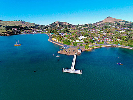 码头,奥塔哥,半岛,港口,南岛,新西兰