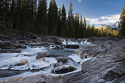瀑布,绵羊,河,卡纳纳斯基斯,艾伯塔省,加拿大