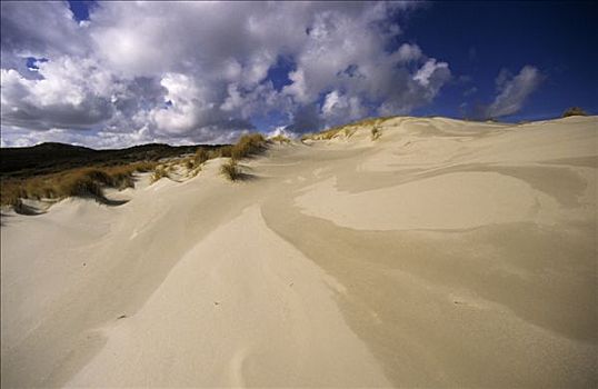 积云,沙丘,风景,荷兰,瓦登岛