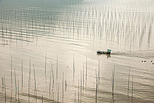 福建宁德市霞浦县北岐村滩涂早晨行驶的渔船