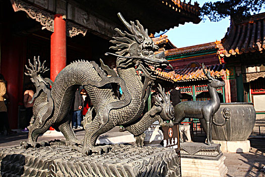 戏珠铜龙,铜梅花鹿,储秀宫,故宫,中国,北京,全景,地标,传统