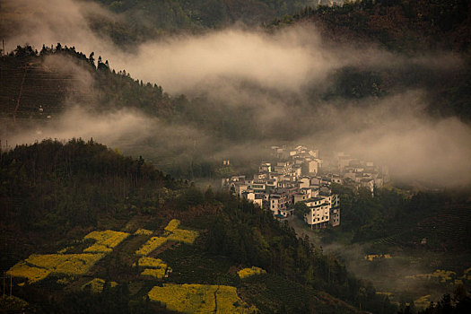 石潭,云海,安徽,山沟,油菜花,风光,壮观,气候,环境,仙境,诱惑,秀美,俯瞰,村庄