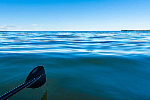 海洋,蓝天,桨,前景