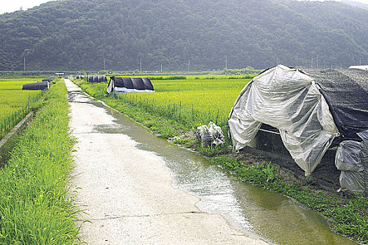 地点