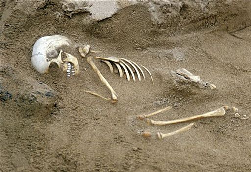 埋葬,场所,骨骼,挖掘,拉帕努伊,复活节岛,智利,大洋洲
