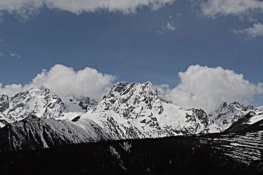 白马雪山