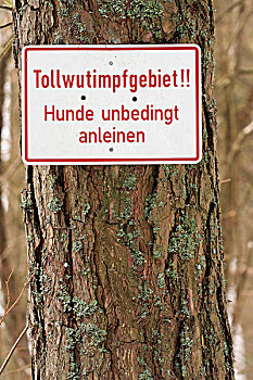 警告标识,德国,狂犬病,区域,狗,残留