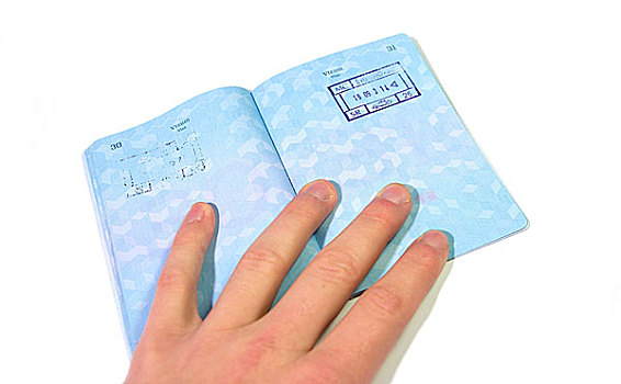 护照,隔绝,白色背景,手
