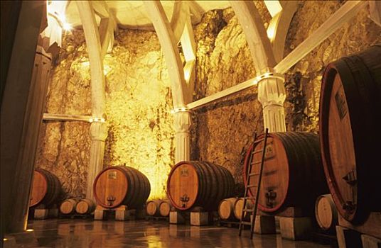 葡萄酒桶,地窖