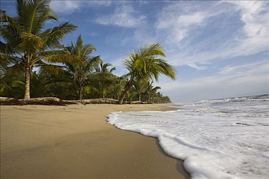 波浪,海滩,印度